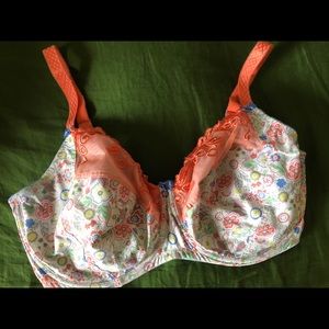 1st & Curve 38H Bra